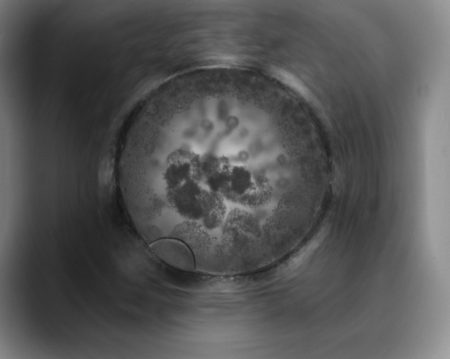 X0000090441259200707131213