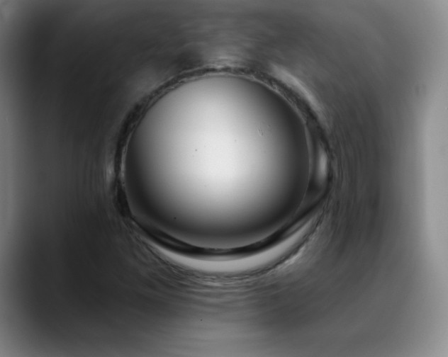 X0000090441261200707131213