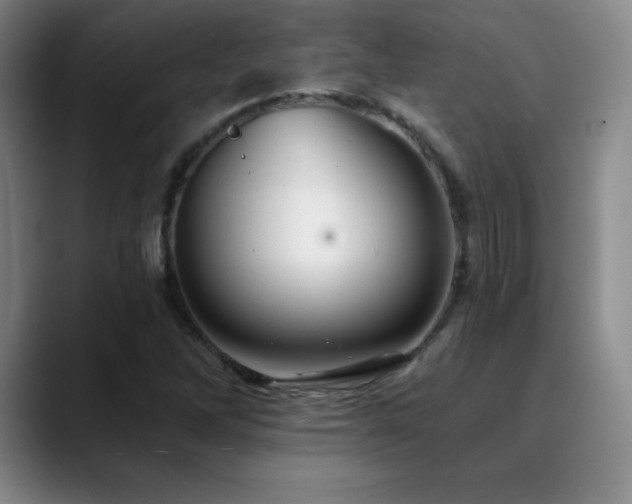 X0000090441262200707131213