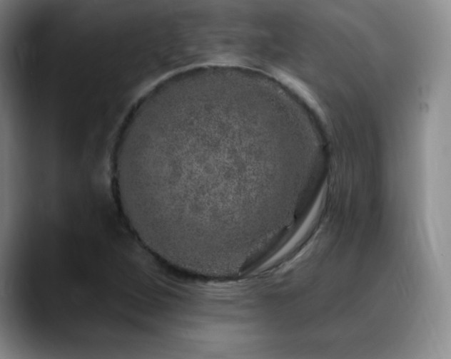 X0000090441264200707131213