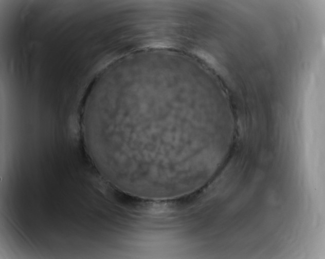 X0000090441266200707131213