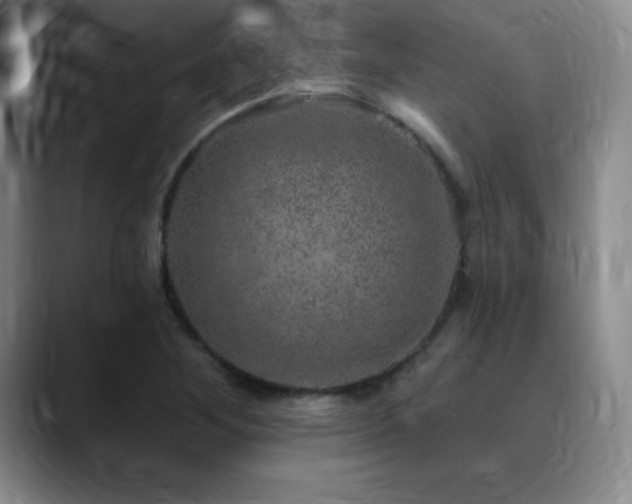 X0000090441268200707131213