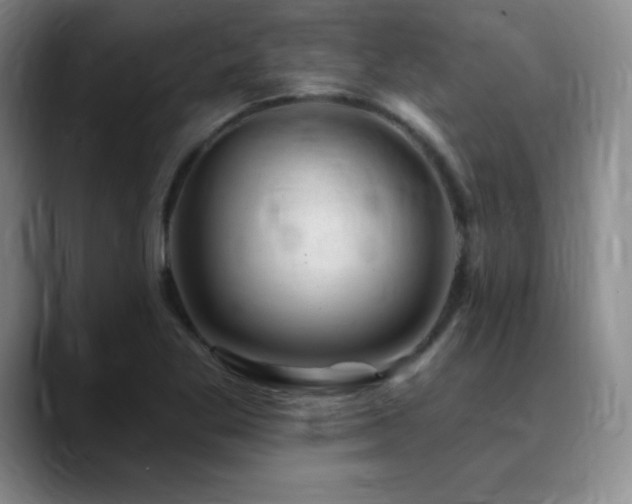 X0000090441269200707131213