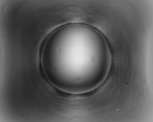 X0000090441270200707131213