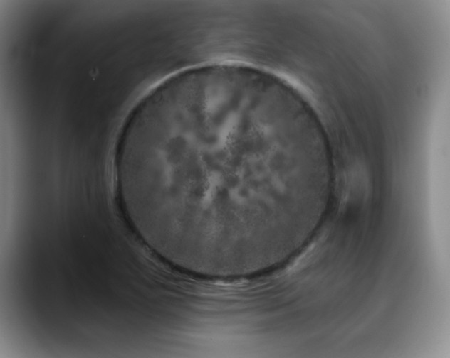 X0000090441271200707131213