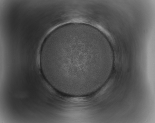 X0000090441272200707131213