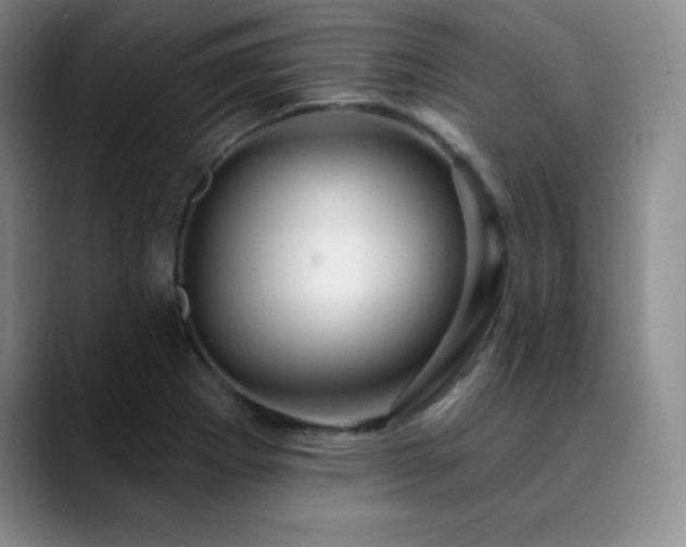 X0000090441273200707131213