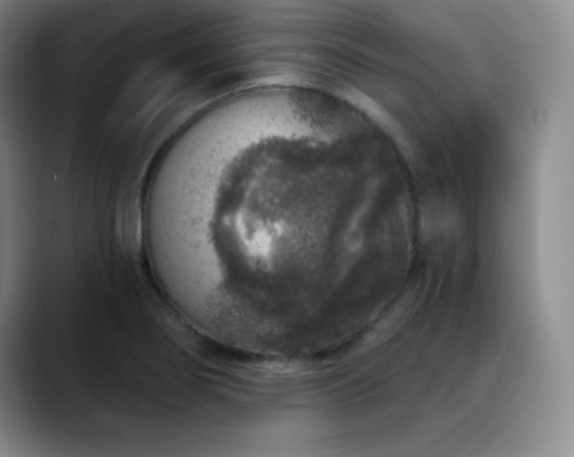 X0000090441274200707131213