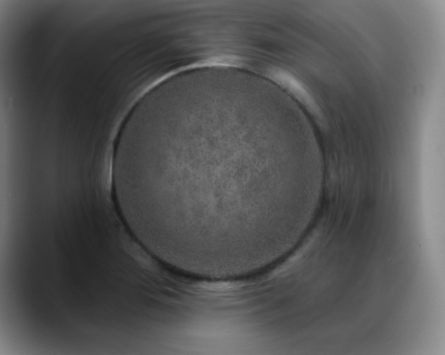 X0000090441276200707131213
