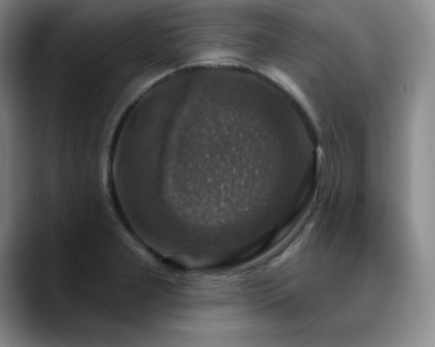 X0000090441277200707131213