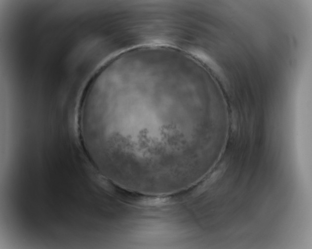 X0000090441278200707131213
