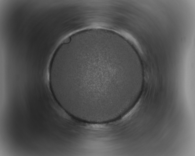 X0000090441280200707131213