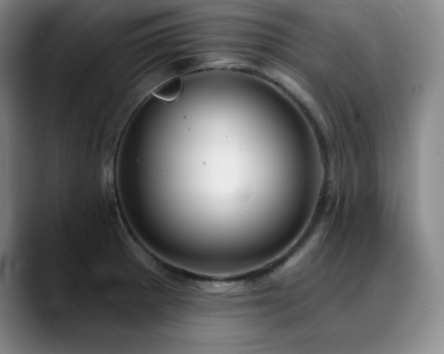 X0000090441281200707131213