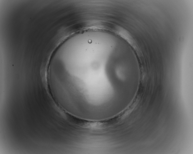 X0000090441282200707131213