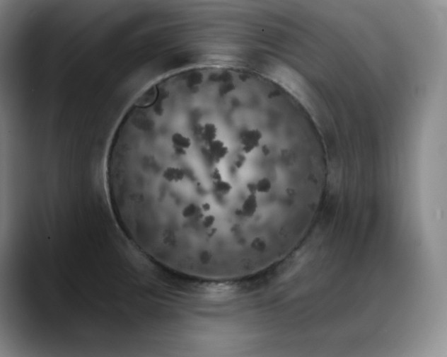 X0000090441283200707131213