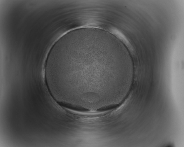 X0000090441284200707131213