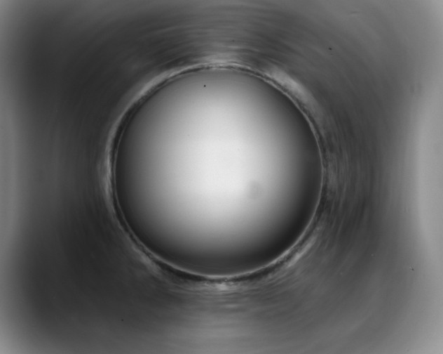 X0000090441286200707131213