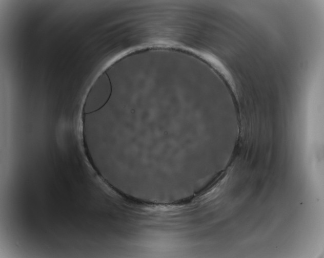 X0000090441287200707131213