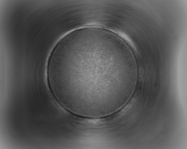 X0000090441288200707131213