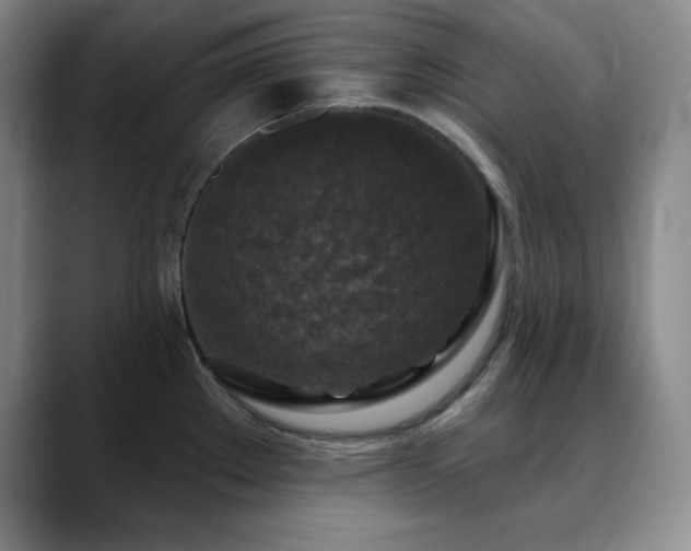 X0000090441289200707131213
