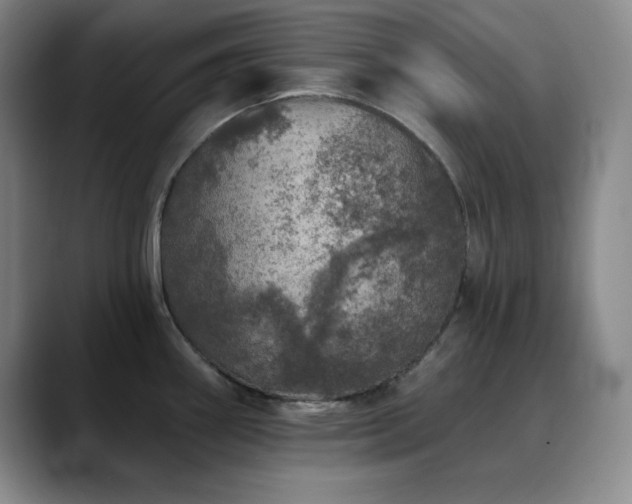X0000090441290200707131213
