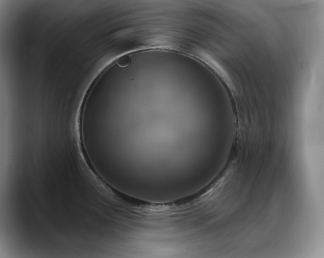 X0000090441291200707131213