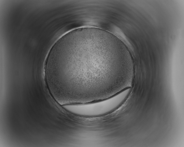 X0000090441292200707131213