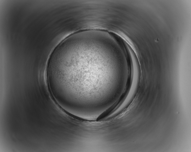 X0000090441293200707131213