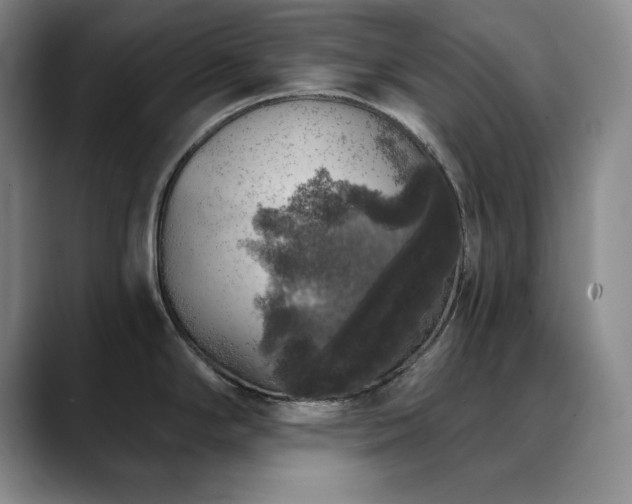 X0000090441294200707131213