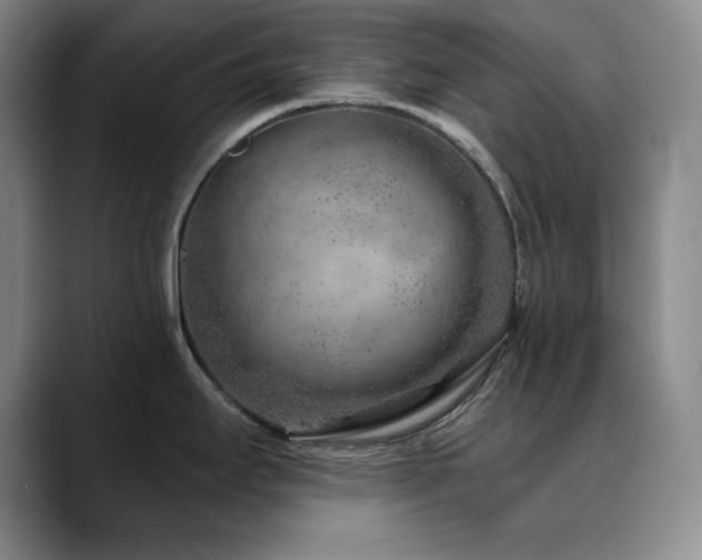 X0000090441295200707131213