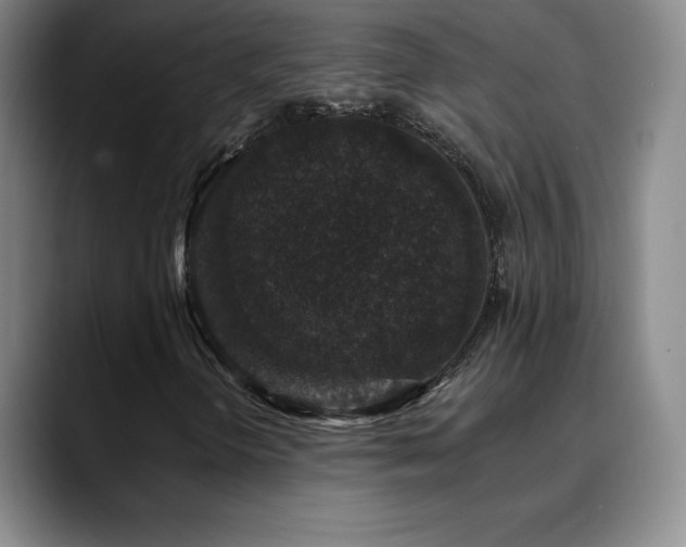 X0000090441298200707131212