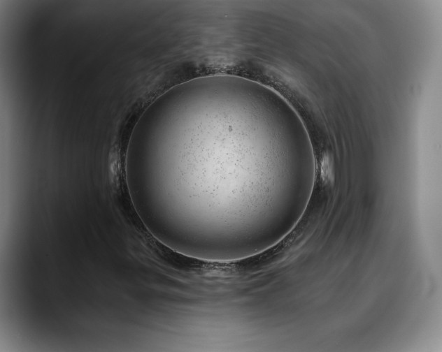 X0000090441299200707131212