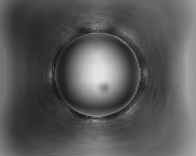X0000090441300200707131212