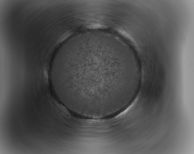 X0000090441305200707131212
