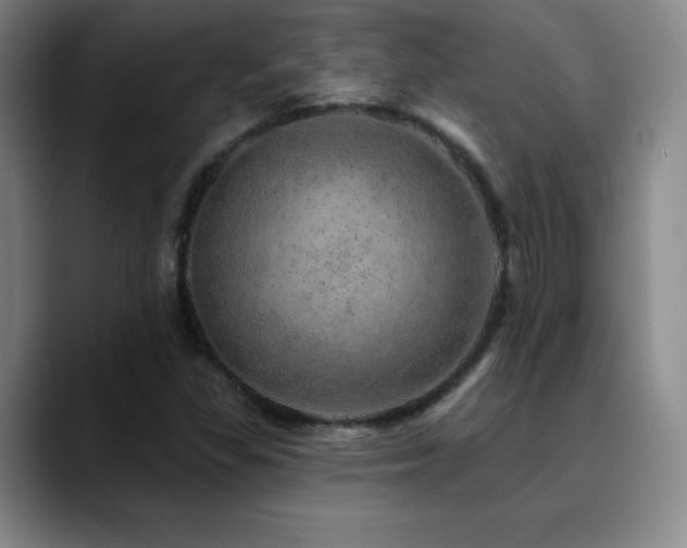 X0000090441309200707131212