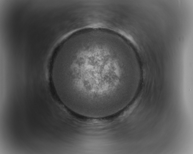 X0000090441311200707131212