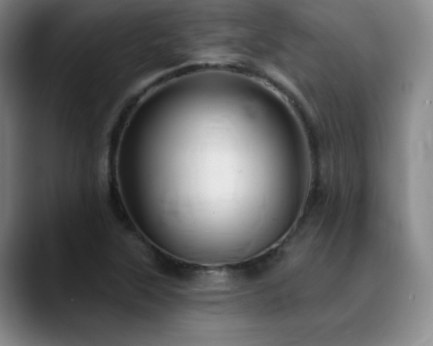 X0000090441315200707131212