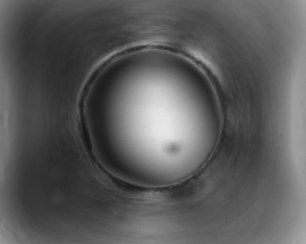X0000090441316200707131212