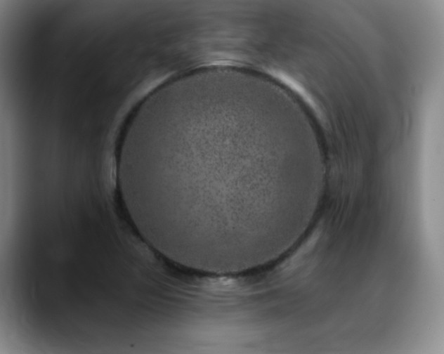 X0000090441317200707131212
