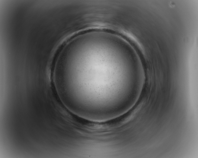 X0000090441318200707131212