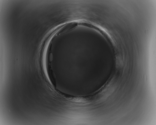 X0000090441319200707131212