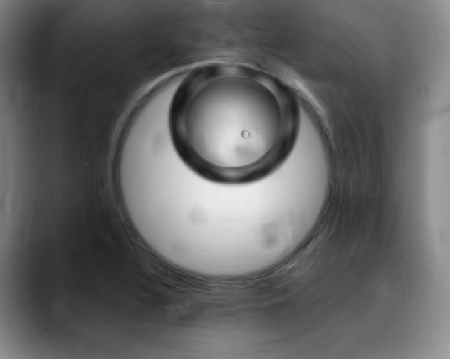 X0000090441320200707131212