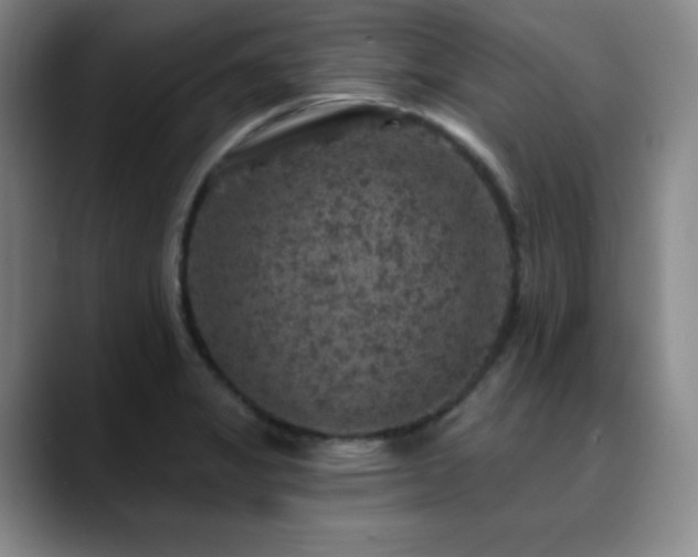 X0000090441325200707131212