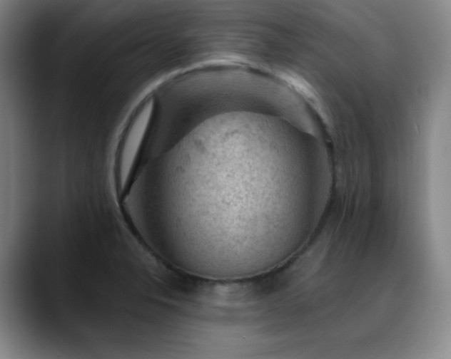 X0000090441326200707131212