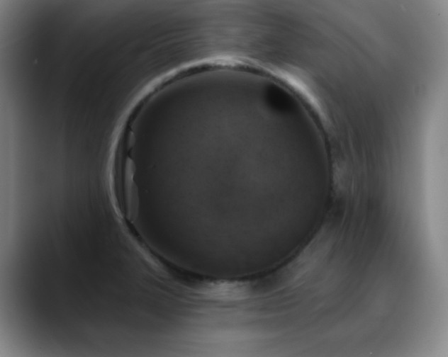 X0000090441327200707131212
