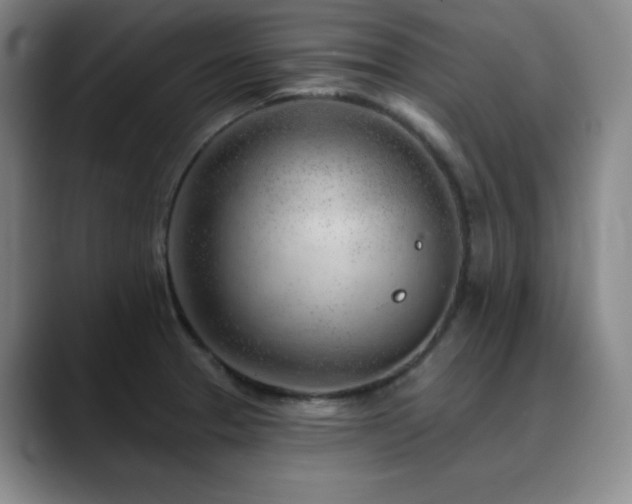 X0000090441329200707131212