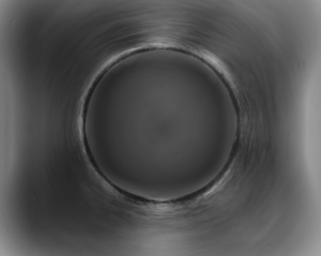 X0000090441334200707131213