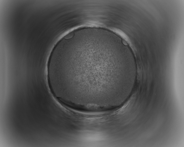 X0000090441335200707131213