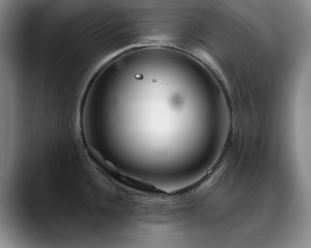 X0000090441336200707131213