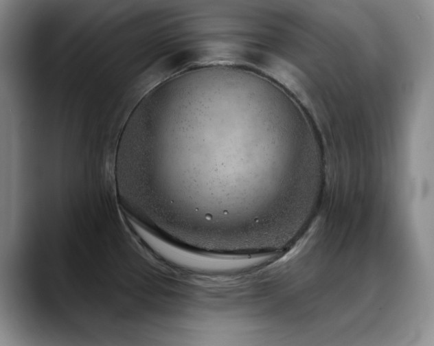 X0000090441337200707131213